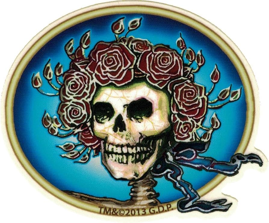 THE SKULL DISK DAMNGOOD!! × NATURE TONES il_fullxfull.5977919164_mjko.jpg
